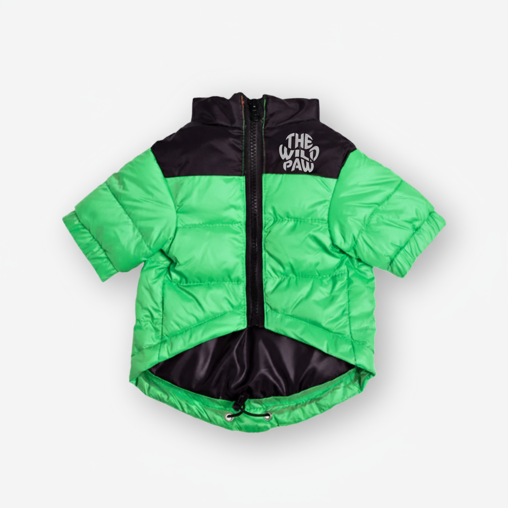 The Wild Paw insulated dog jacket in bright green with a zip closure and a comfortable fit for chilly weather