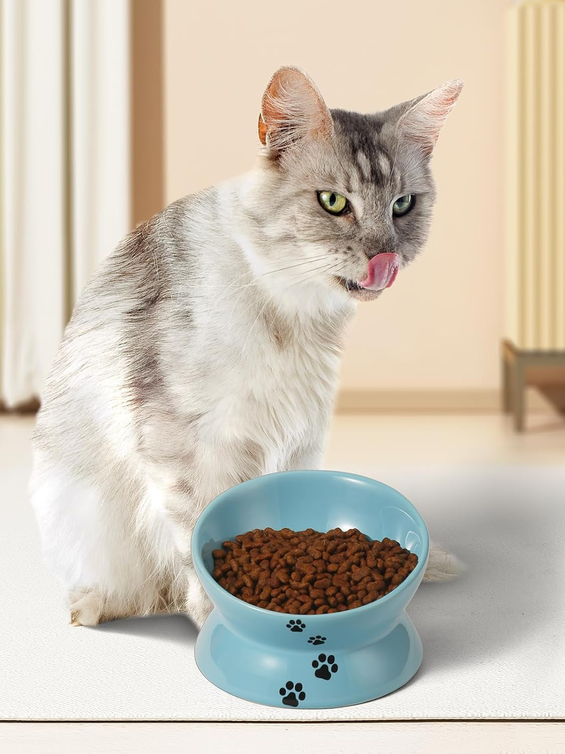 Elevated blue tilted cat bowl for neck protection with dry cat food, perfect for comfortable eating