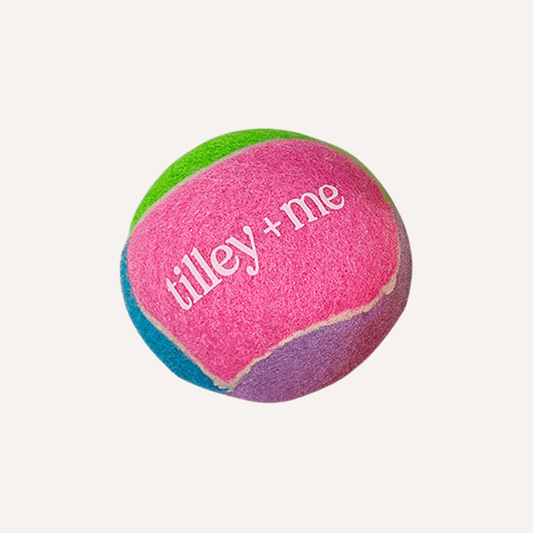 Tennis Ball for Dogs - Purrfect Pet Kingdom