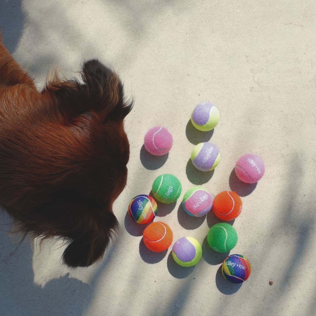 Tennis Ball for Dogs - Purrfect Pet Kingdom