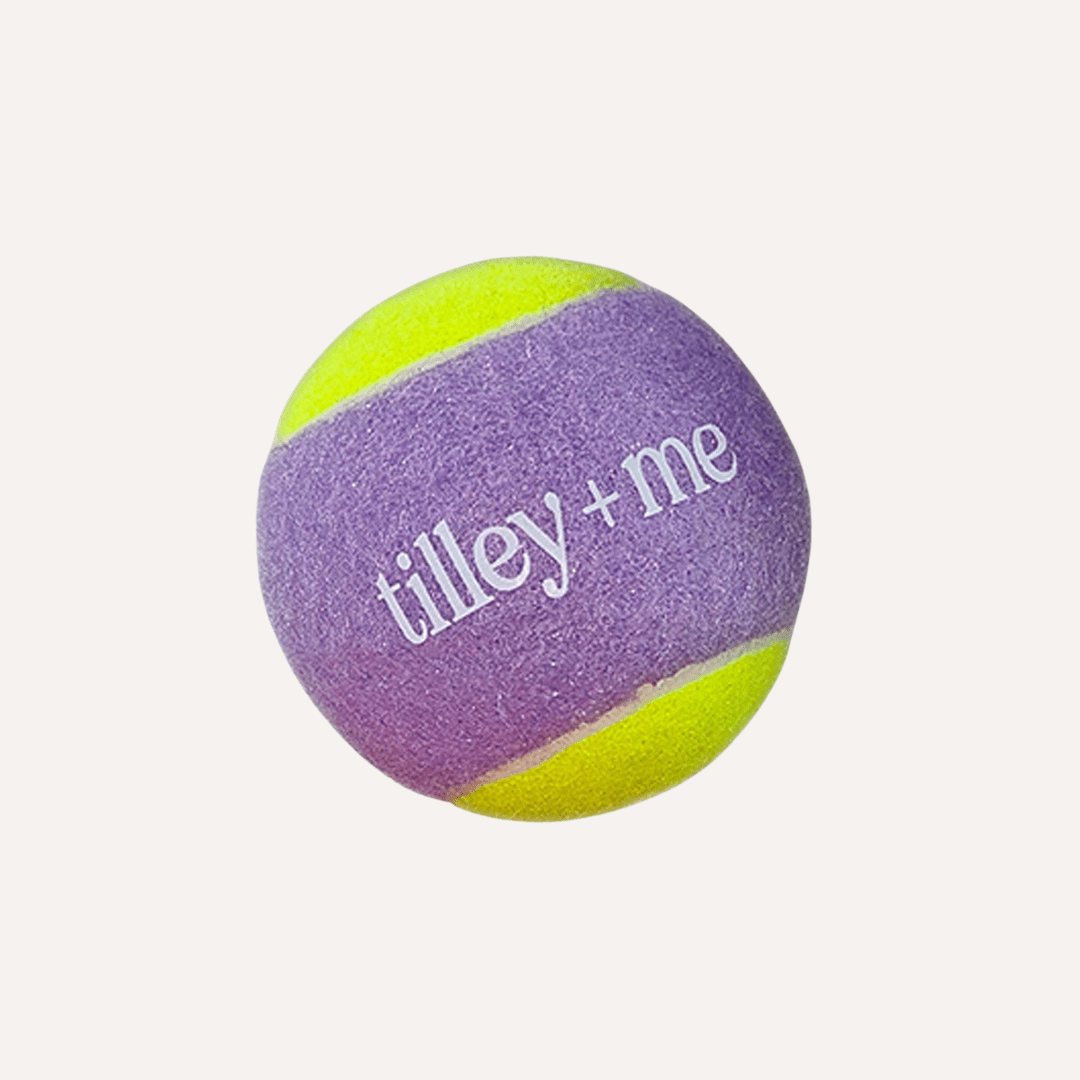 Tennis Ball for Dogs - Purrfect Pet Kingdom