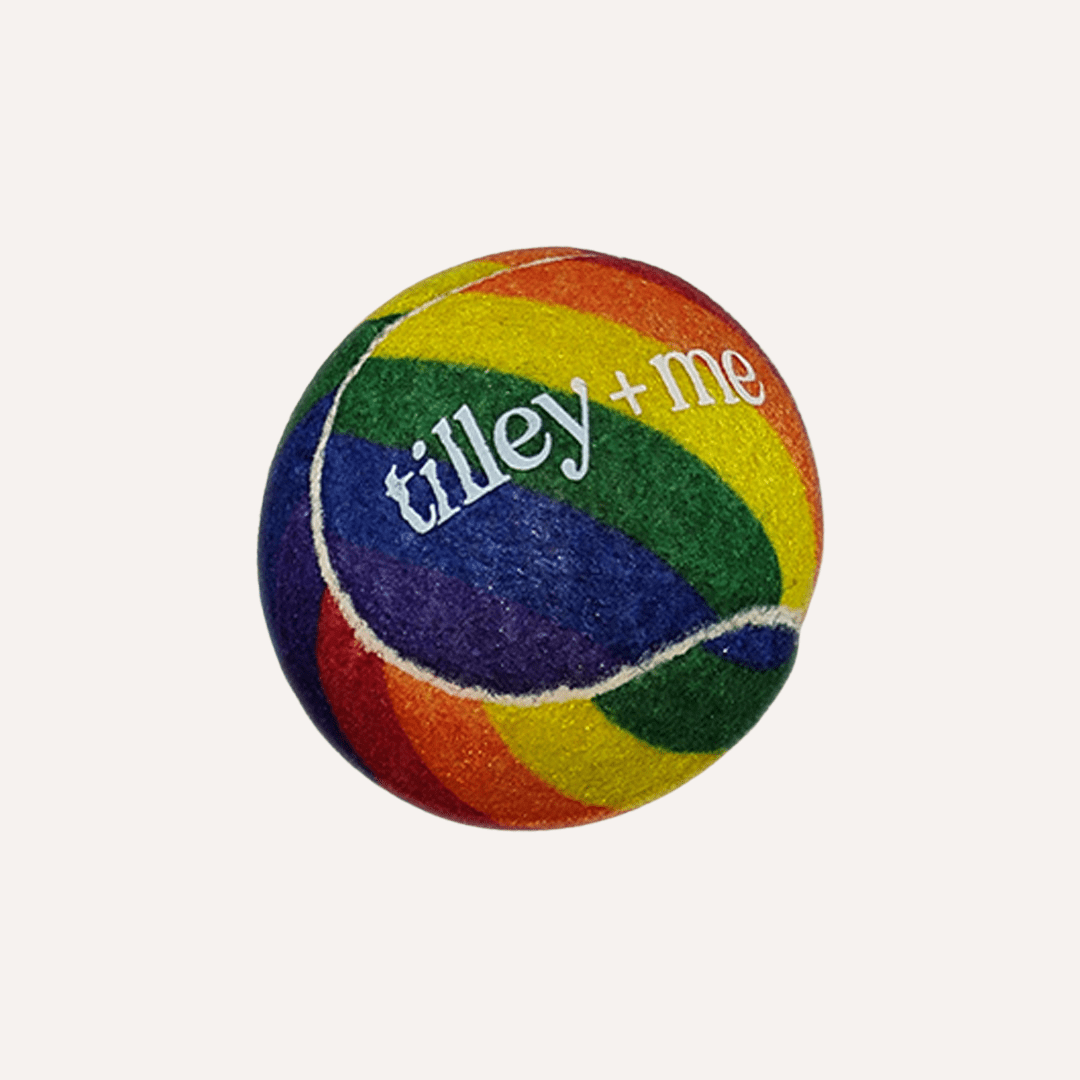 Tennis Ball for Dogs - Purrfect Pet Kingdom