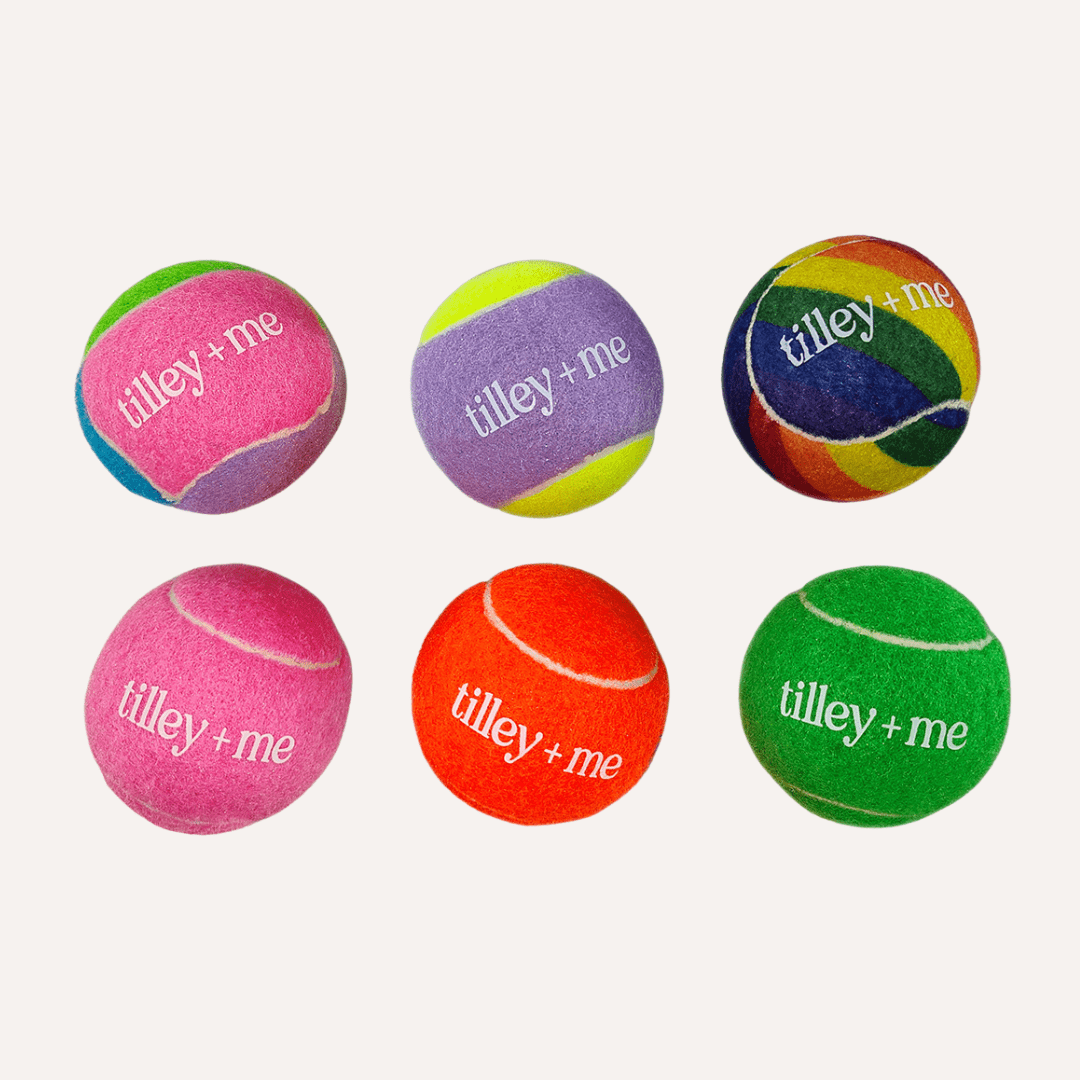 Tennis Ball for Dogs - Purrfect Pet Kingdom