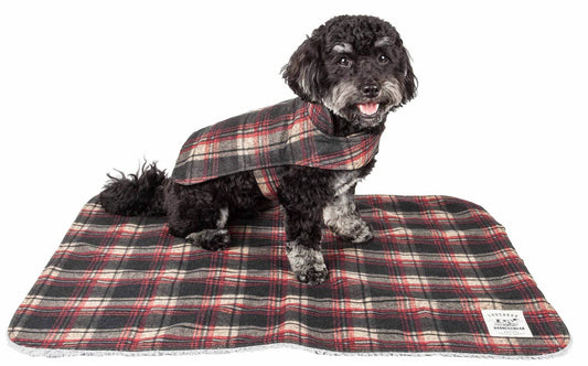 Small black dog wearing a plaid jacket sitting on matching dog travel mat and jacket combo from Purrfect Pet Kingdom