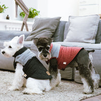 Touchdog 'Furrost-Bite' Fur and Fleece Designer Fashion Dog