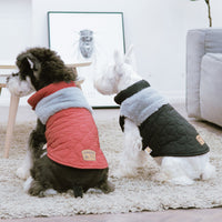 Touchdog 'Furrost-Bite' Fur and Fleece Designer Fashion Dog