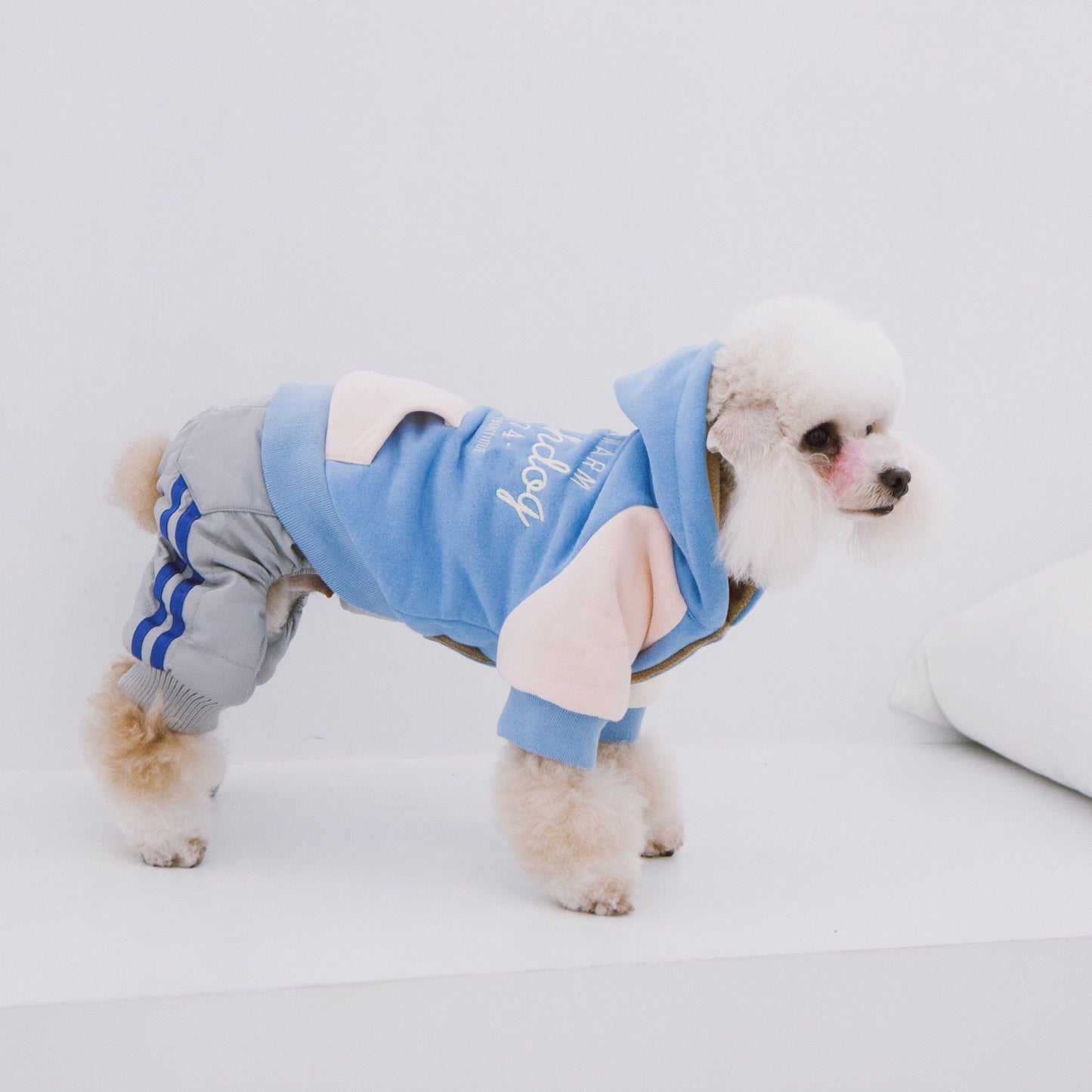 Touchdog 'Heritage' Soft-Cotton Fashion Dog Hoodie Sweater