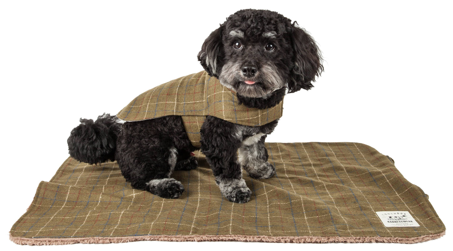 Allegiance Insulated Plaid Dog Jacket