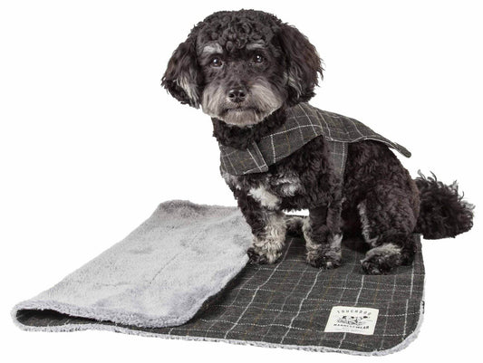 Small black dog wearing a warm winter dog jacket on a matching plaid mat from Purrfect Pet Kingdom