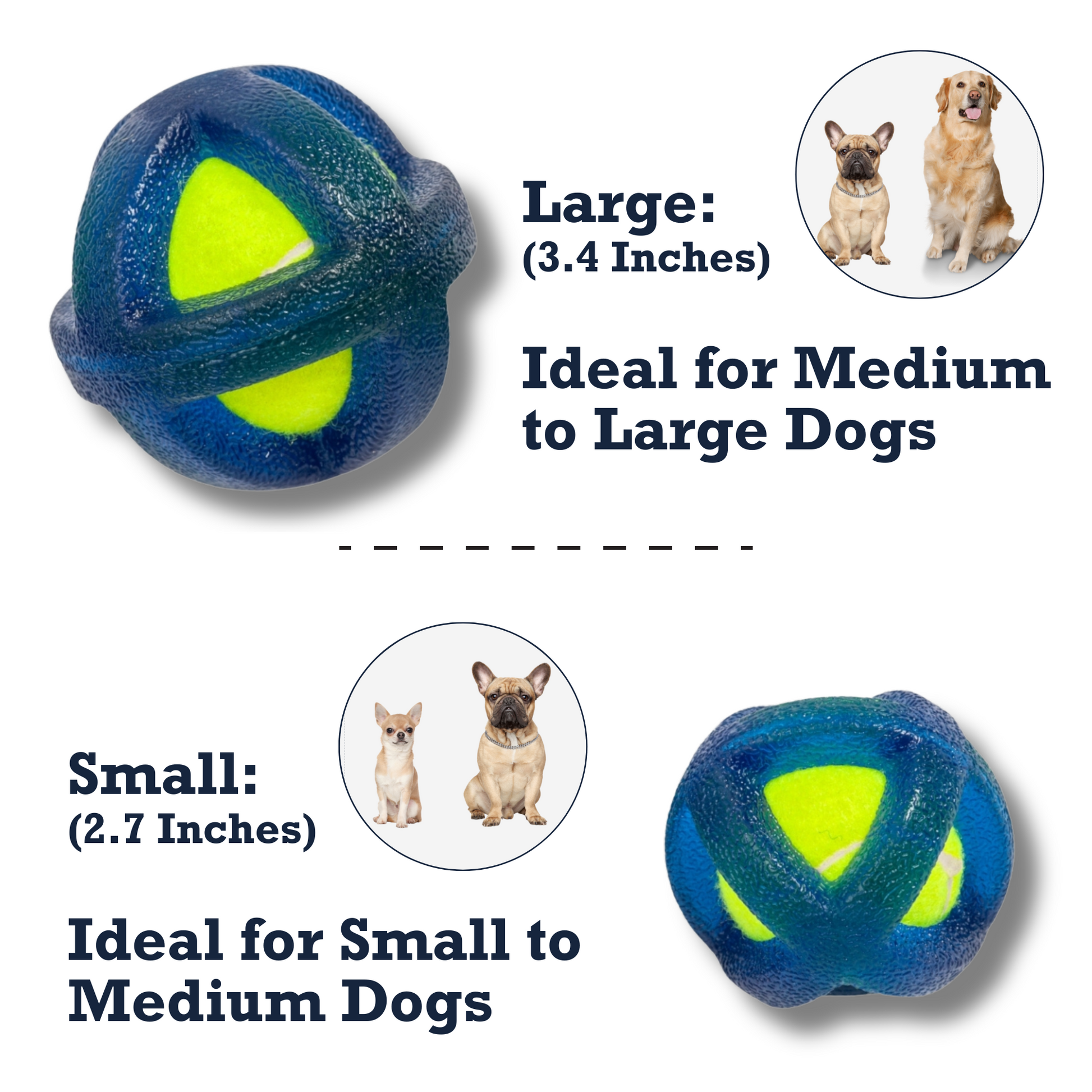 TPR-coated dog fetch toy in two sizes for small to large dogs, perfect for playtime and fetch games