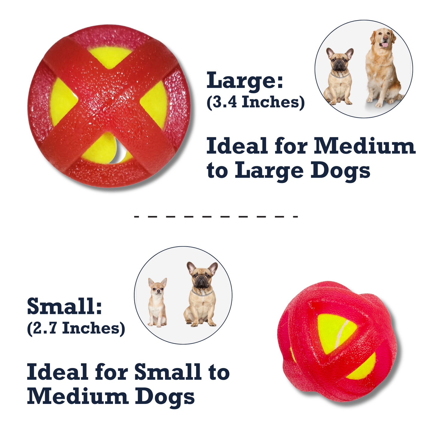 TPR-coated dog fetch toy in large and small sizes, ideal for various dog breeds
