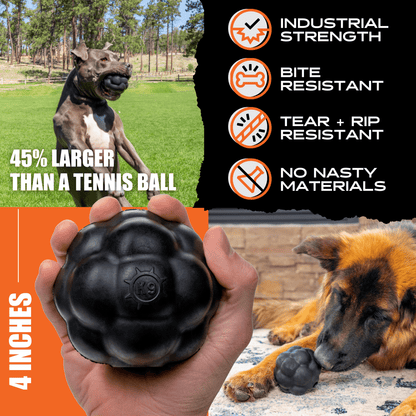 Monster K9 Rumble Ball Dog Toy 🎾