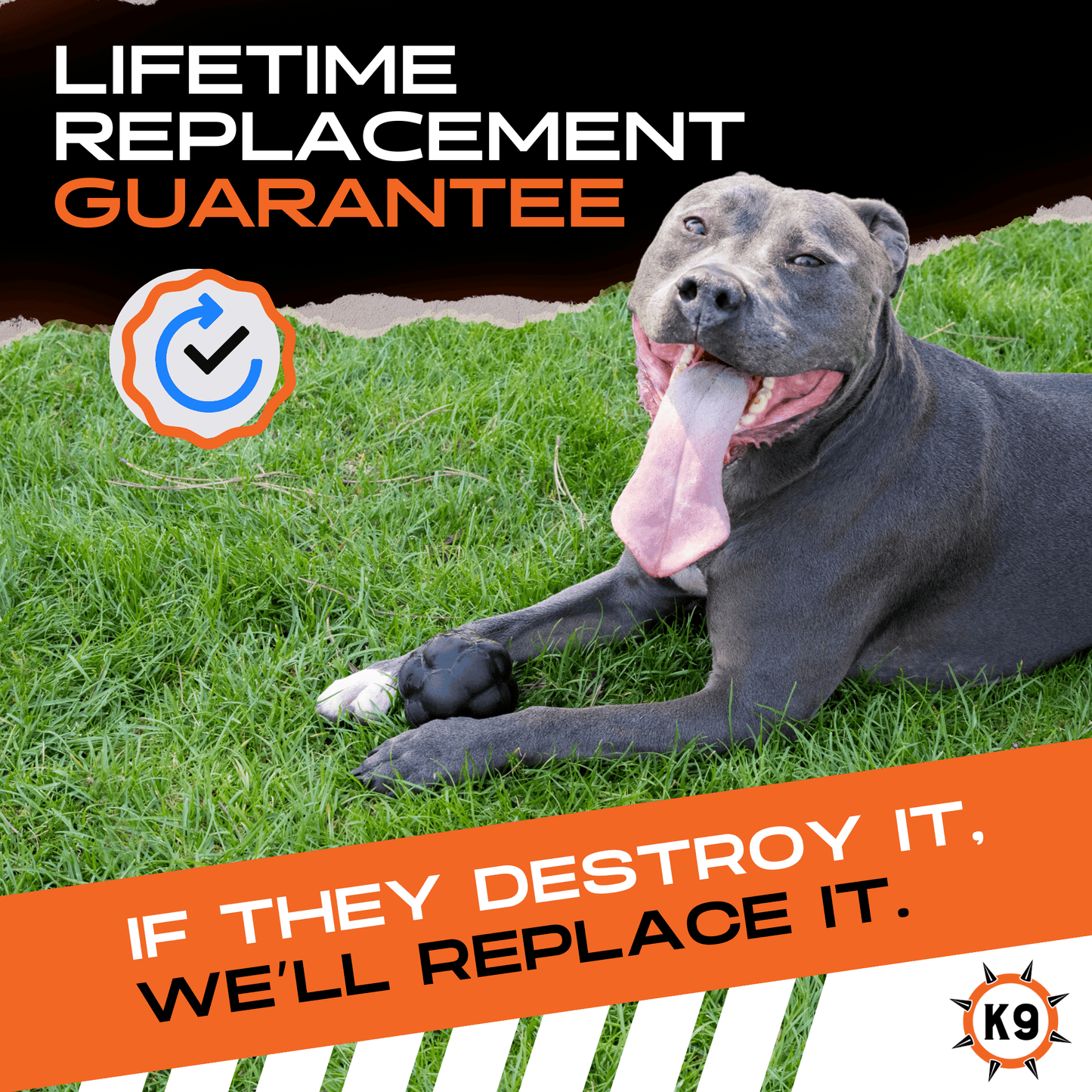 Monster K9 Rumble Ball Dog Toy 🎾