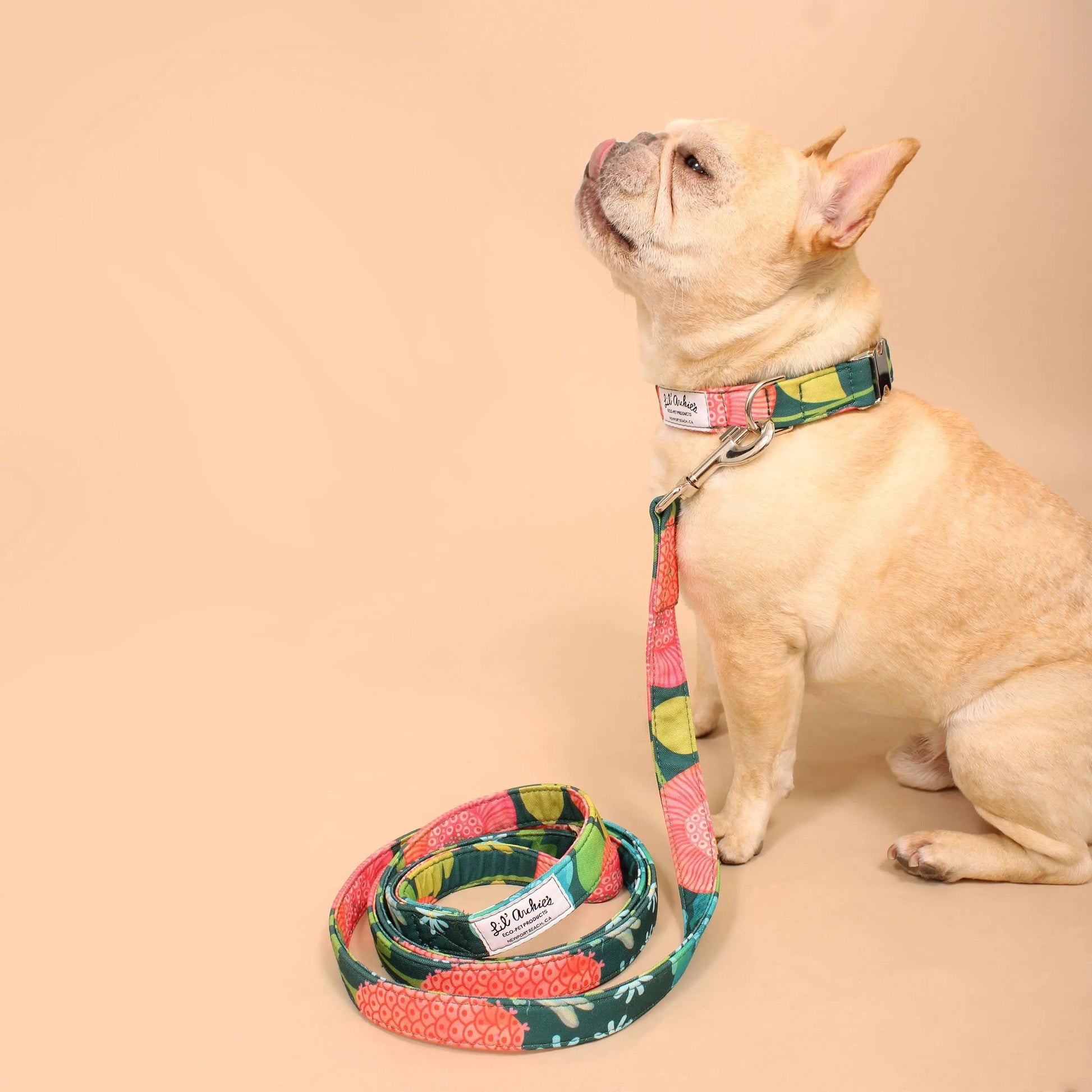 Tropical print dog collar and leash set featuring a colorful design for stylish pet walks