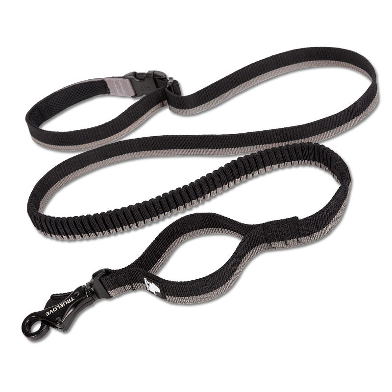Durable shock absorbing dog leash designed for comfort and control during walks