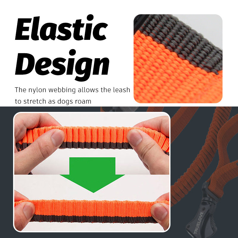 Elastic design shock absorbing dog leash in orange and gray for comfortable walks with your pet