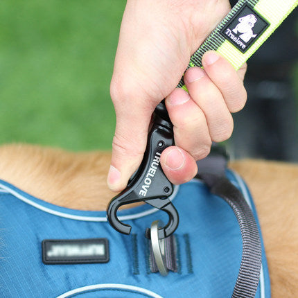 Close-up of a durable shock absorbing dog leash with a secure clip for safe walks