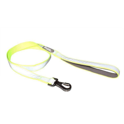 Purrfect Pet Kingdom adjustable no-pull harness leash with stylish reflective pet collar design