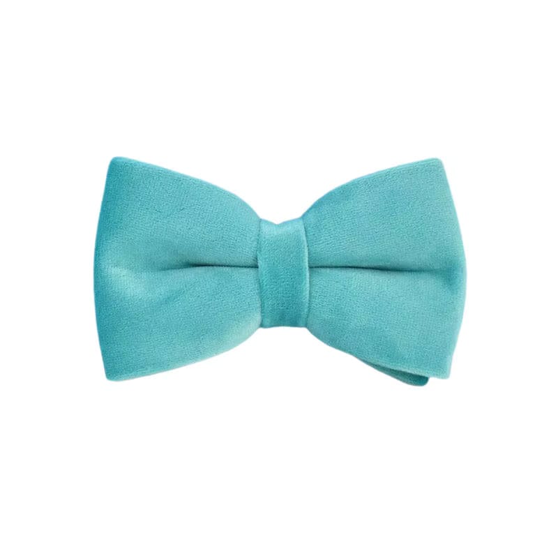 Luxurious turquoise velvet pet bow tie accessory for collars from Purrfect Pet Kingdom.