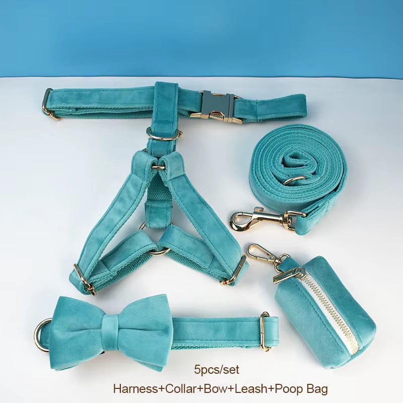 Luxurious Turquoise Velvet Dog Collar and Leash Set for Pets