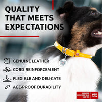 Ultra Soft Rolled Leather Dog Collar 2124 inch Neck Yellow