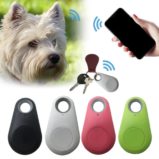 Secure Pet GPS Tracker & Activity Monitor - Pet GPS - Ameraeon