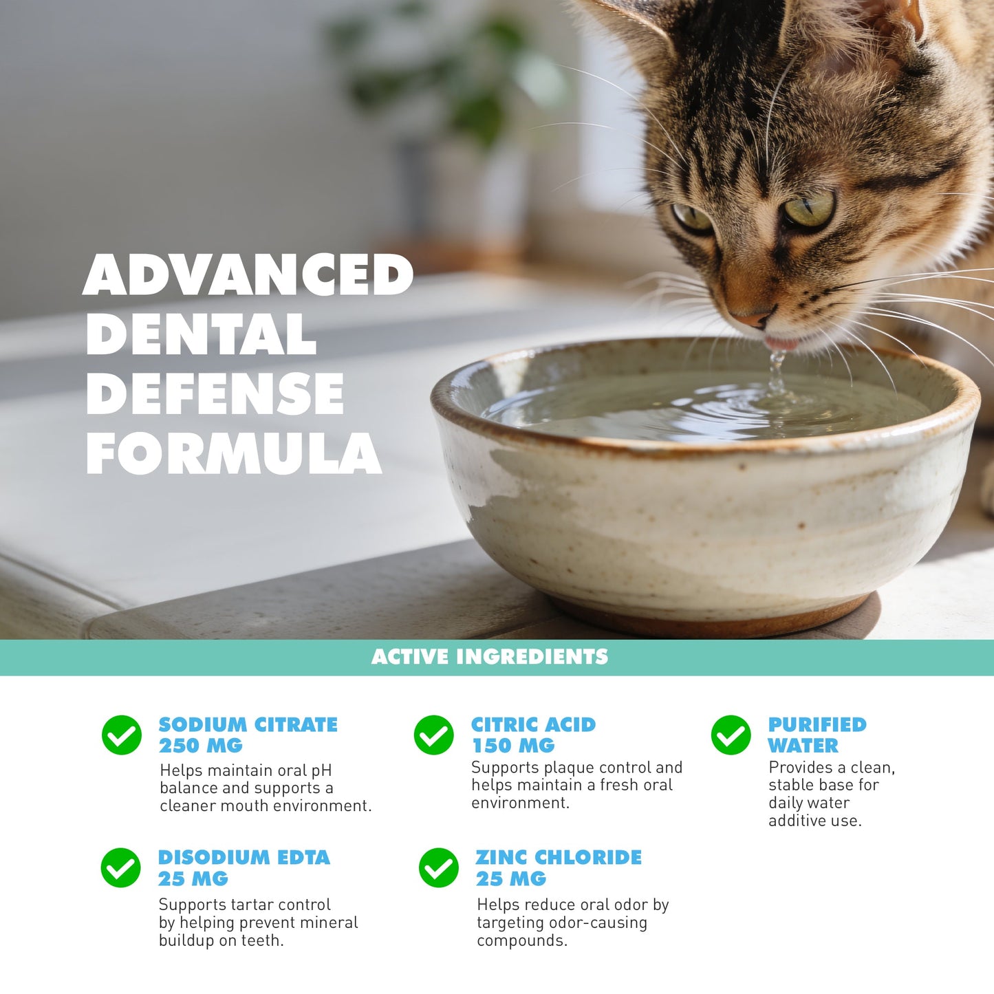 Cat Supply UBAVET Dental Water Additive Cats Odorless Essent - gallery product image for cat supply