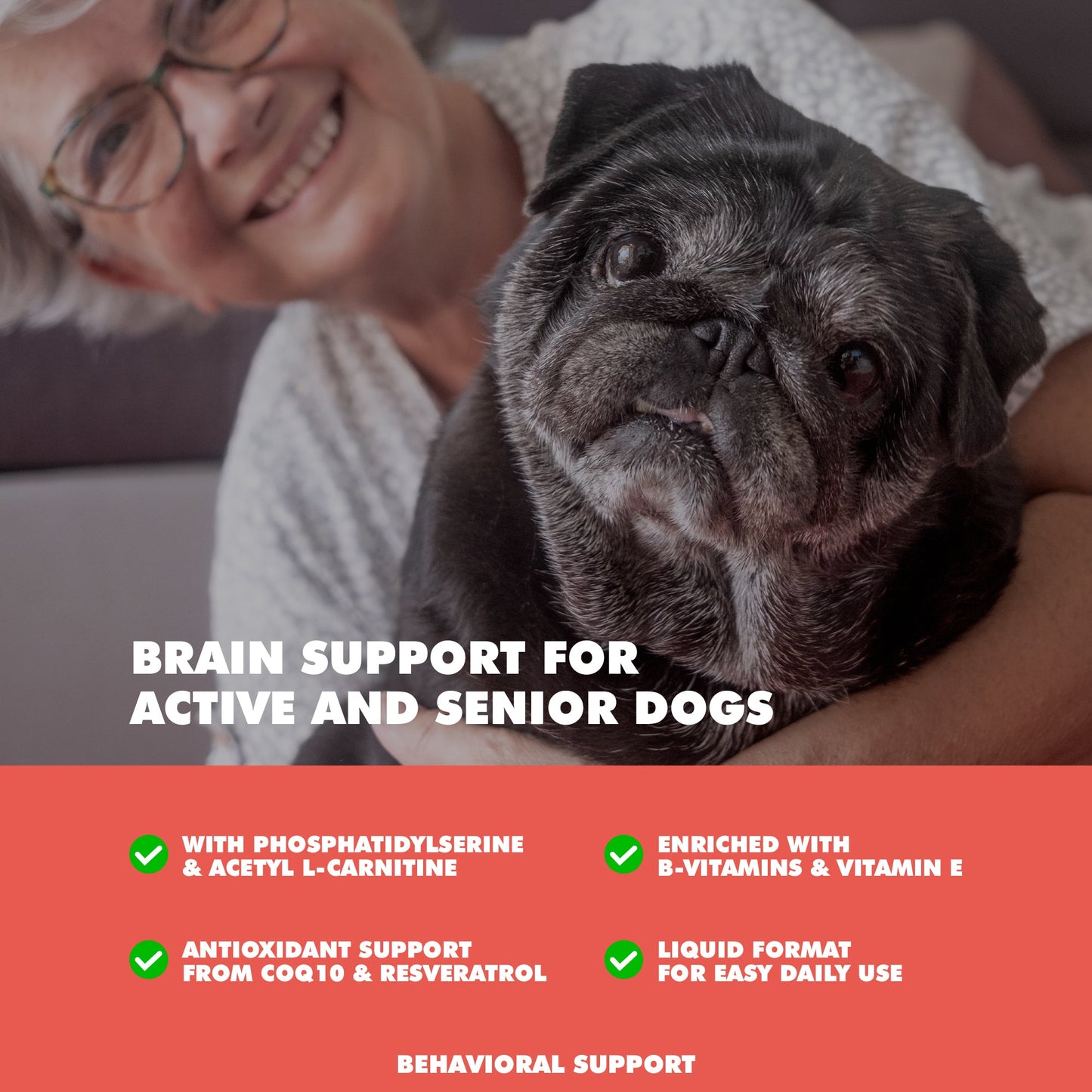 Dog Supply UBAVET Memory Brain Support for Senior Dogs 90 - lifestyle product image for dog supply