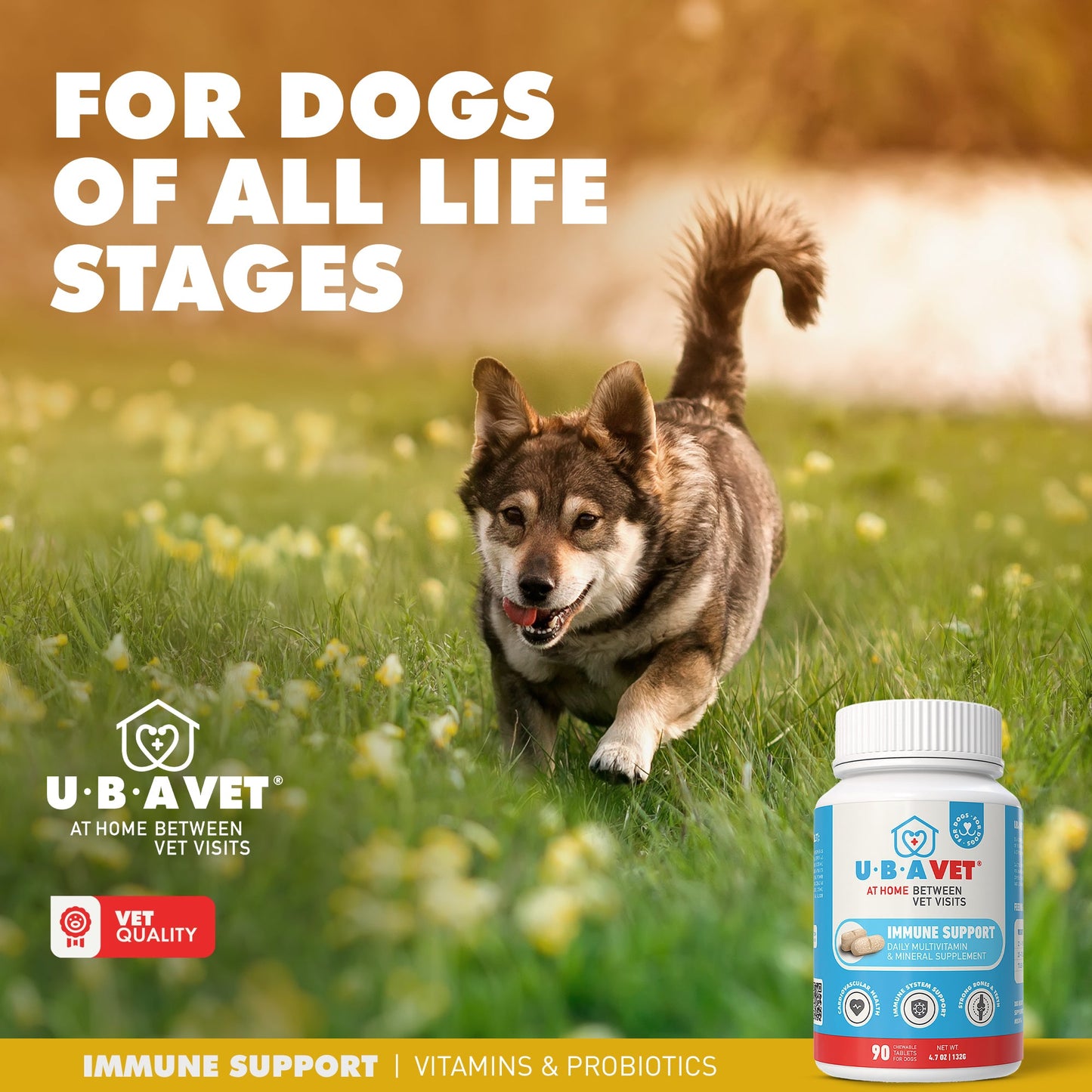 Dog Supply UBAVET Immune Support Multi-Vitamin Mineral Essen - gallery product image for dog supply