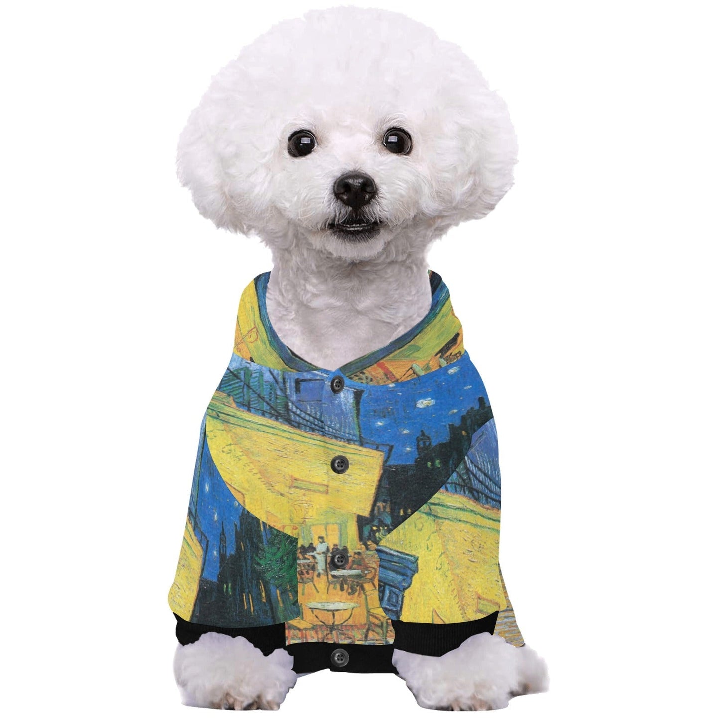 Van Gogh Cafe Terrace Hoodie