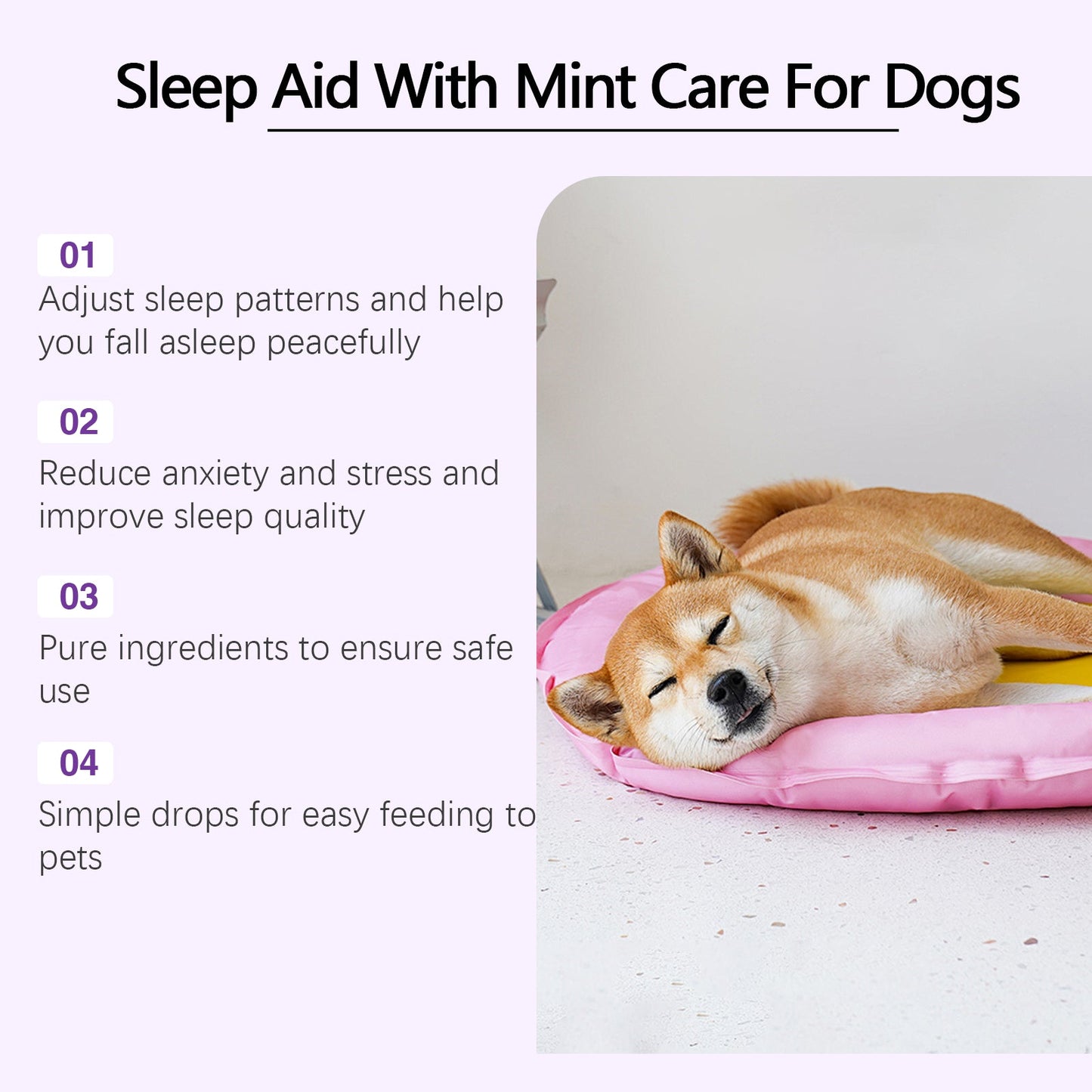 Pet sleep care drops for dogs with mint flavor to reduce anxiety and improve sleep quality