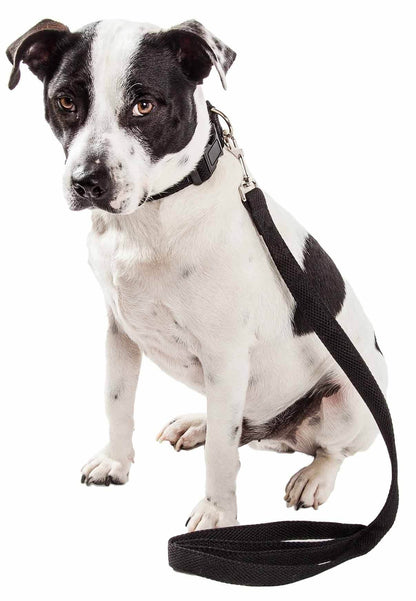 Black and white dog wearing a breathable 2-in-1 dog harness set by Purrfect Pet Kingdom with leash attached