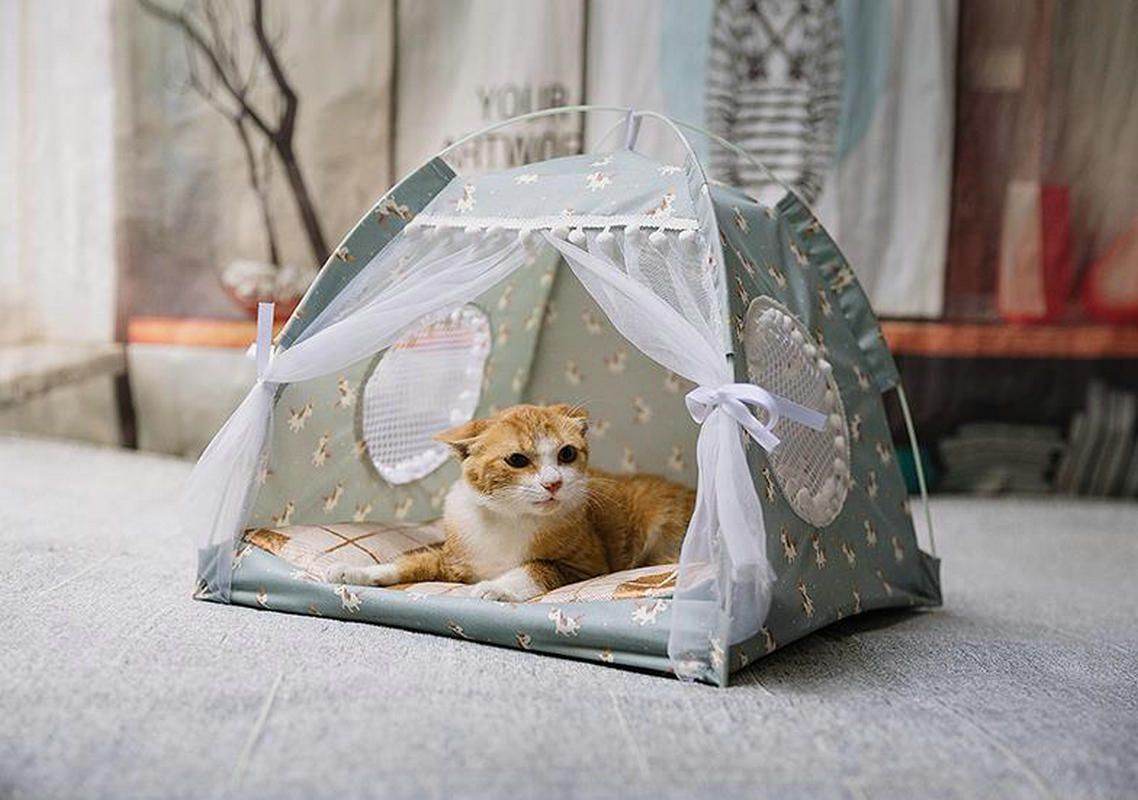 Purrfect Pet Kingdom Cozy Dog and Cat Indoor Tent 🚀 Purrfect Pet Kingdom