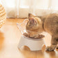 Purrfect Pet Kingdom Elevated Ear-Tip Cat Feeder Bowl Black Purrfect Pet Kingdom