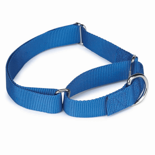 Purrfect Pet Kingdom Stylish Adjustable Dog Collar 18-26In-1 Blue Purrfect Pet Kingdom