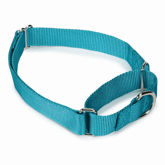 Purrfect Pet Kingdom Stylish Adjustable Dog Collar 10-16In-1 Light Blue Purrfect Pet Kingdom