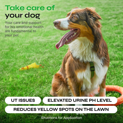Purrfect Pet Kingdom Vetrica Dog Urine Neutralizer for Grass - Green Lawn Purrfect Pet Kingdom