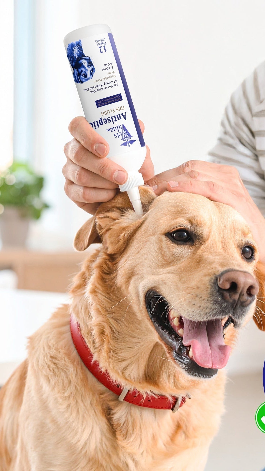 Horizon Animal Care Veterinary Ear Flush for Dogs and Cats being applied to a happy dog