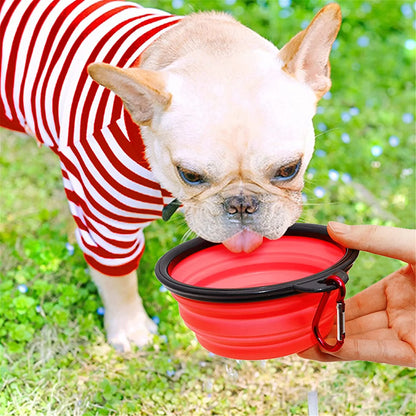 Vibhsa - 5" Portable and Foldable Small Dog Bowl-Red set of 5 - Pet Products