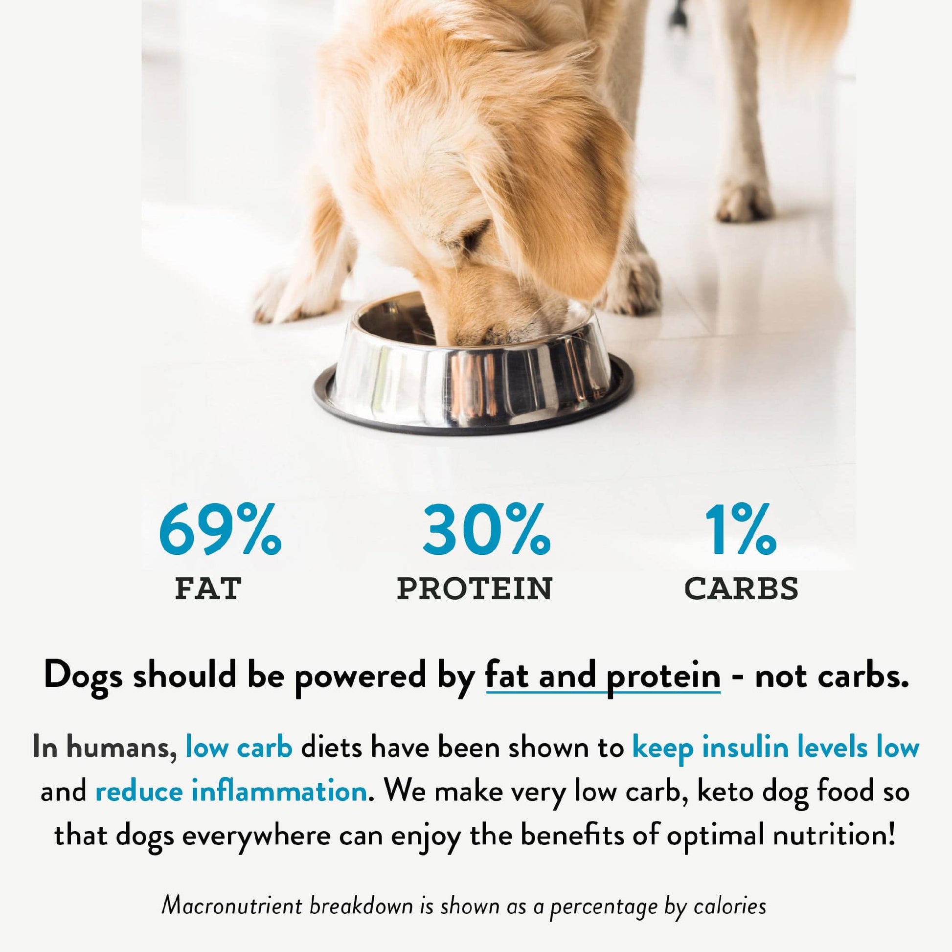 Freeze Dried Food | Beef Recipe | 25oz Bag - Dog Food - Visionary Pet Foods