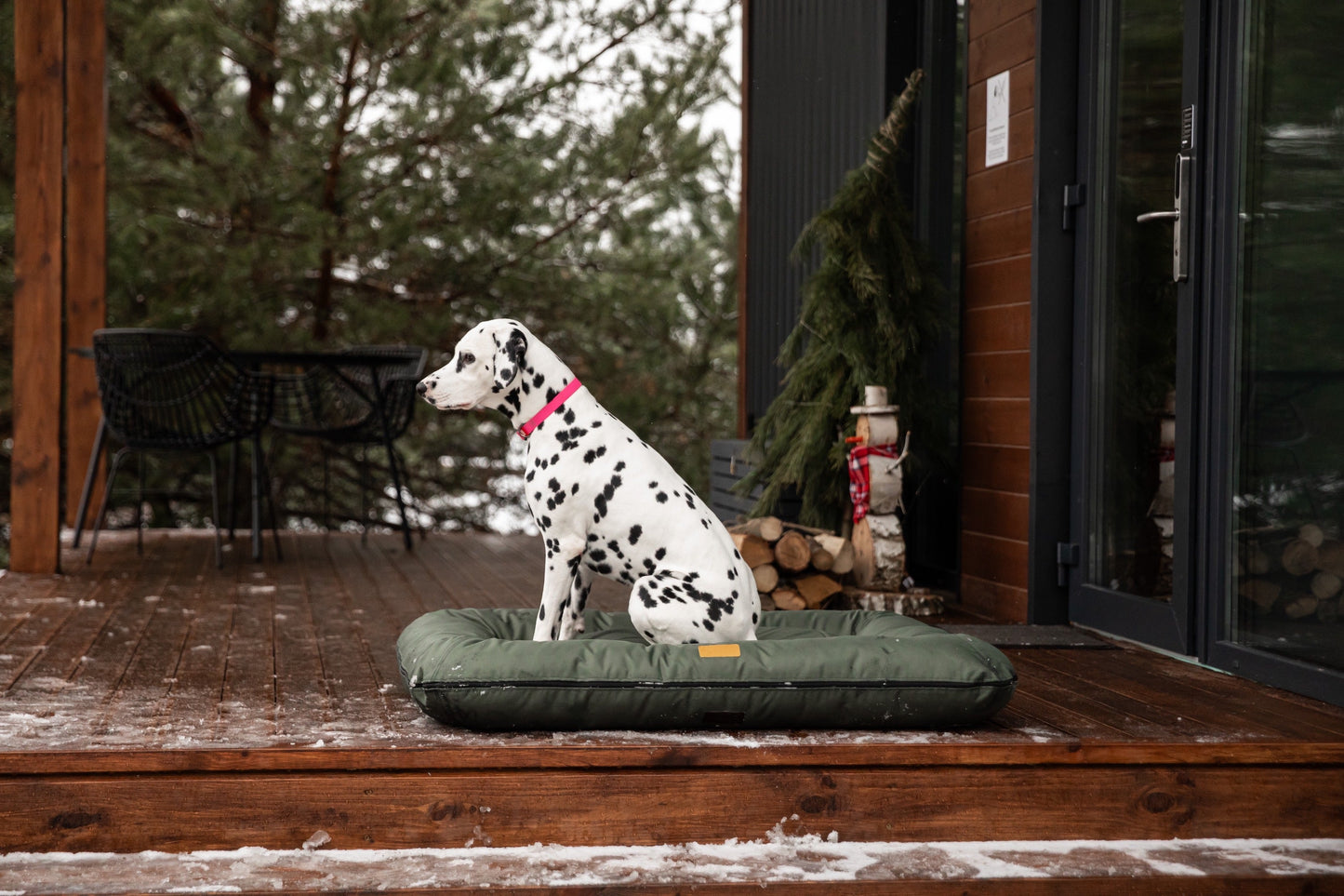 Waterproof Lounger Dog Bed Green