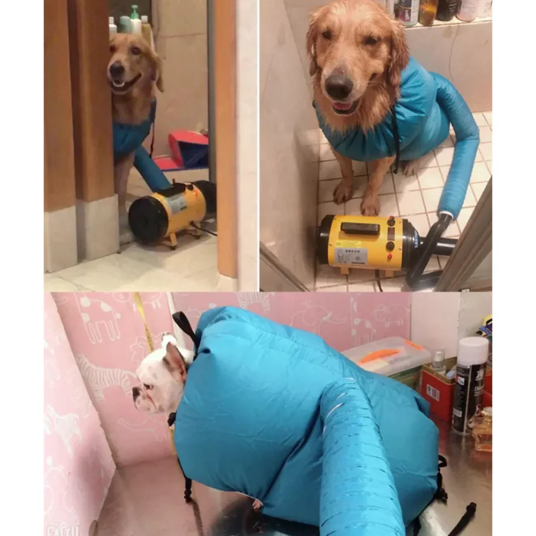 Dog Hair Dryer Kit - Mimarta