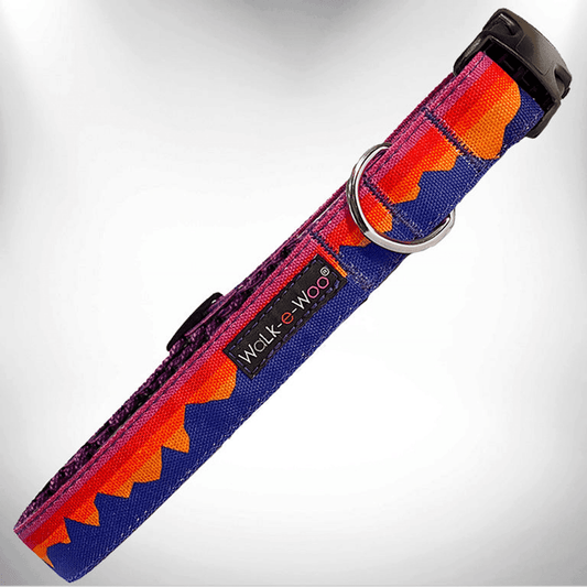 Purrfect Pet Kingdom colorful adventure dog leash for hiking with durable clip and metal ring
