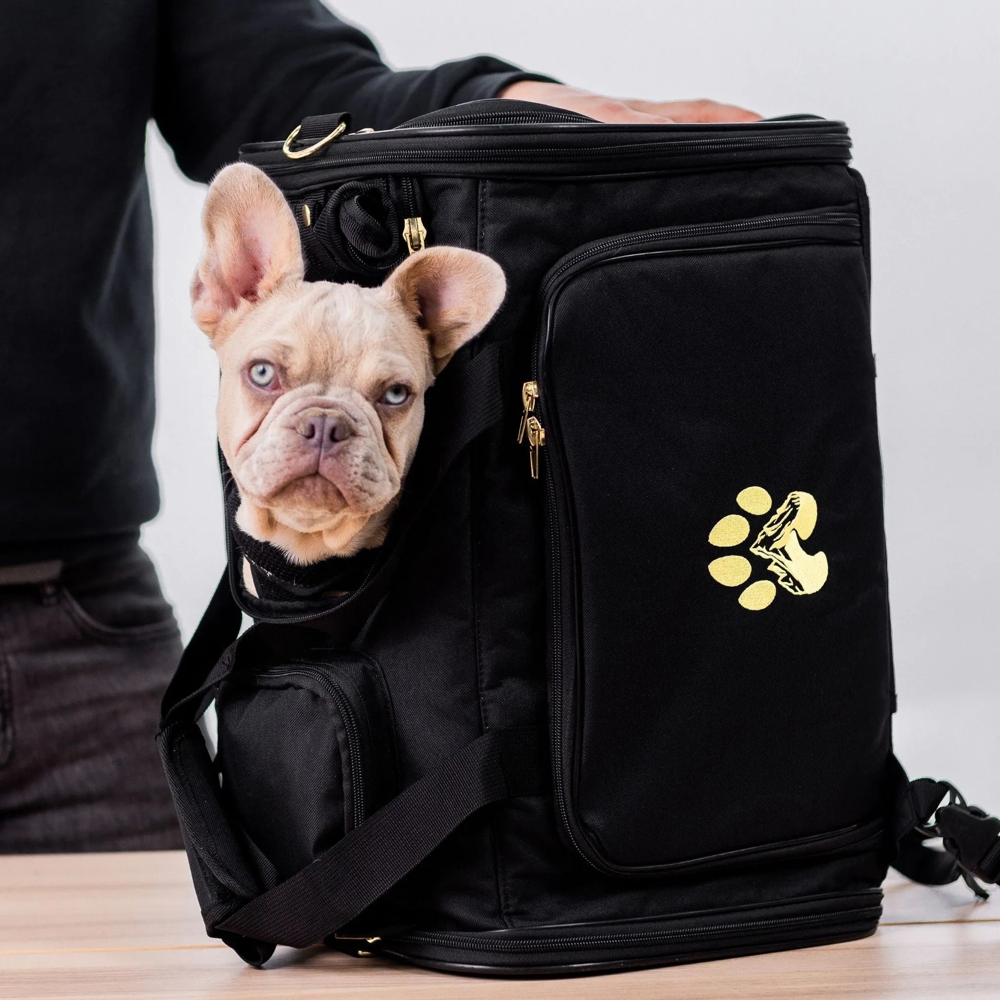 Wasatch Pup - Air Pup Travel Carrier