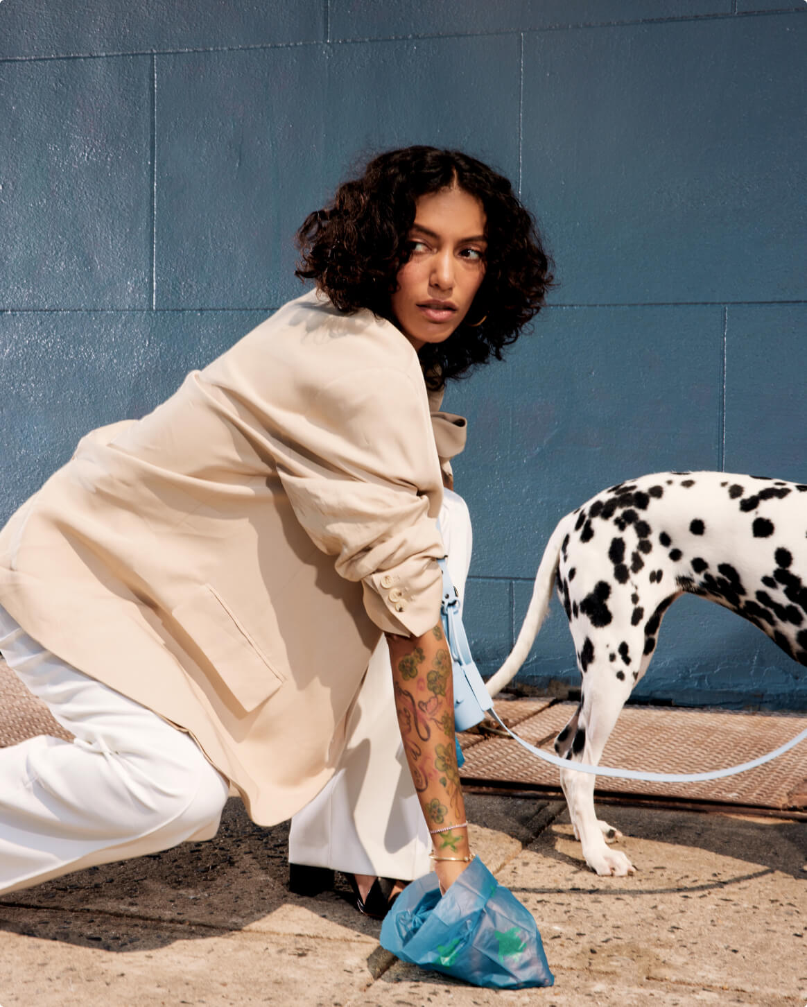 Pet Waste Bags-12 Pack Durable Leak Proof Poop Bags for Dogs