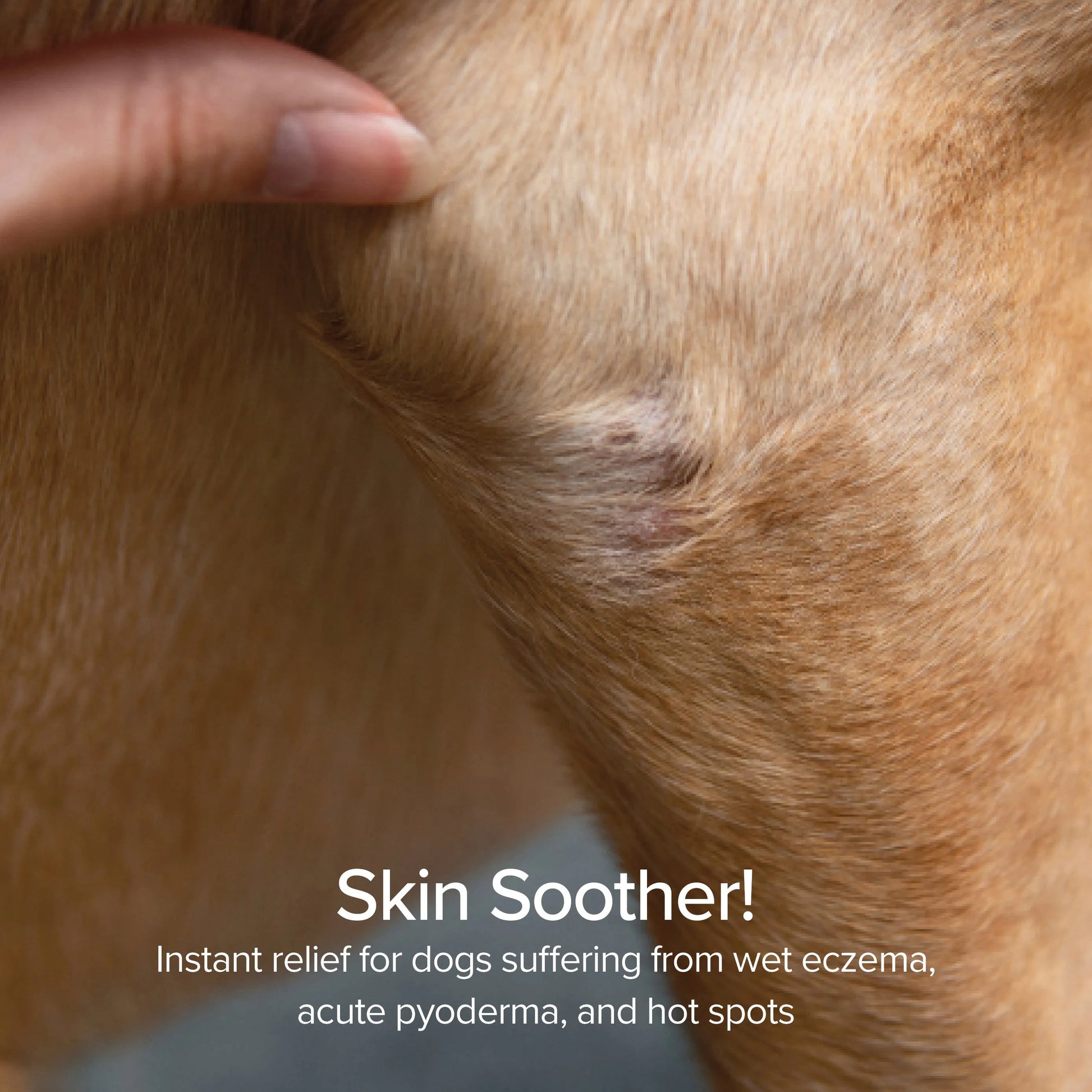 Waterless Dog Hot Spot Relief Foaming Skin Cleanser 5oz by Purrfect Pet Kingdom, perfect for soothing your pet's skin.