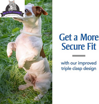 Ultimate Flea & Tick Protection Collar for Dogs - One Size Fits All, Lasts 6 Months