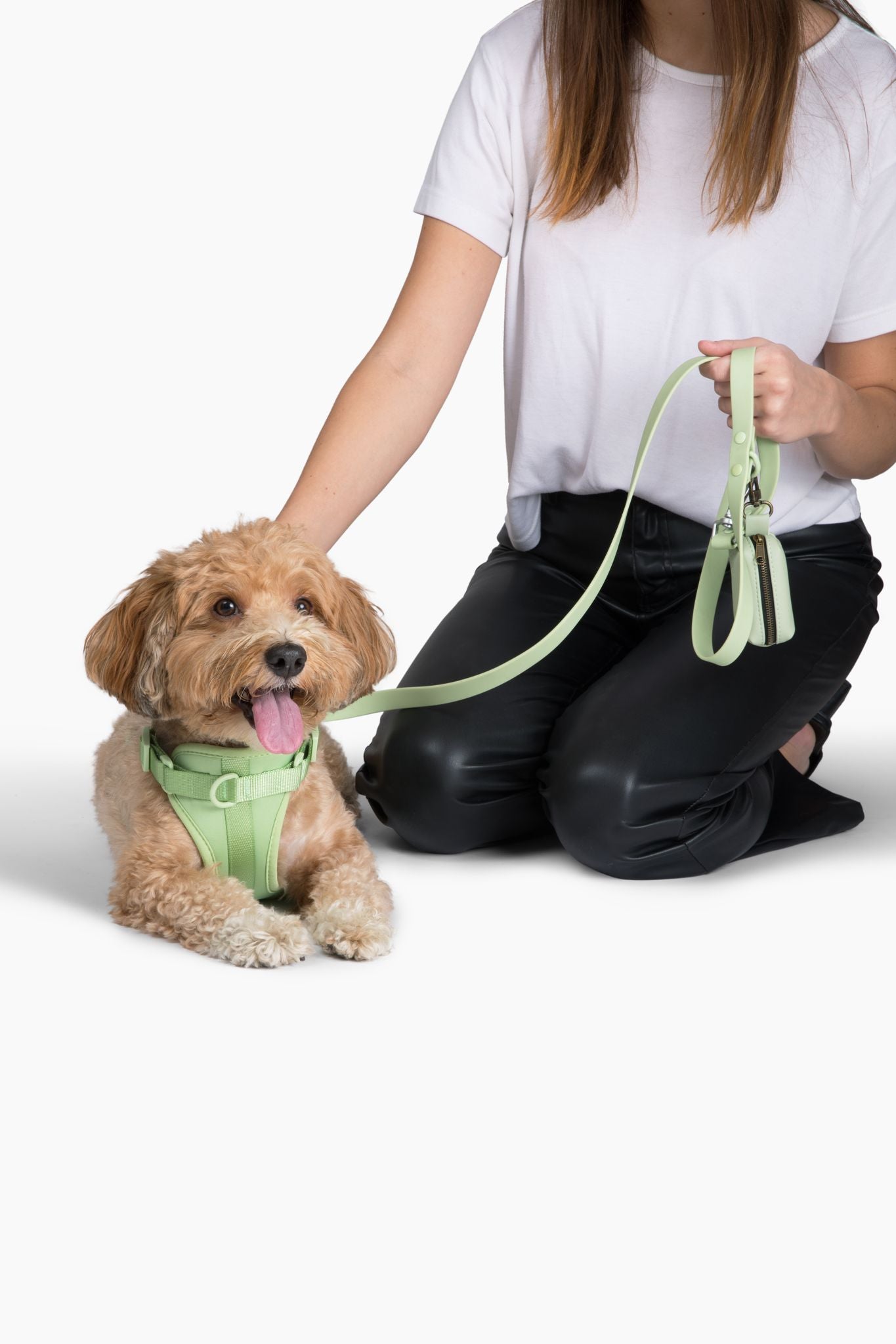 Harness - Pet Collars & Harnesses - Come Here Buddy