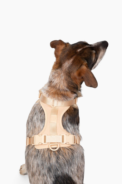 Harness - Pet Collars & Harnesses - Come Here Buddy