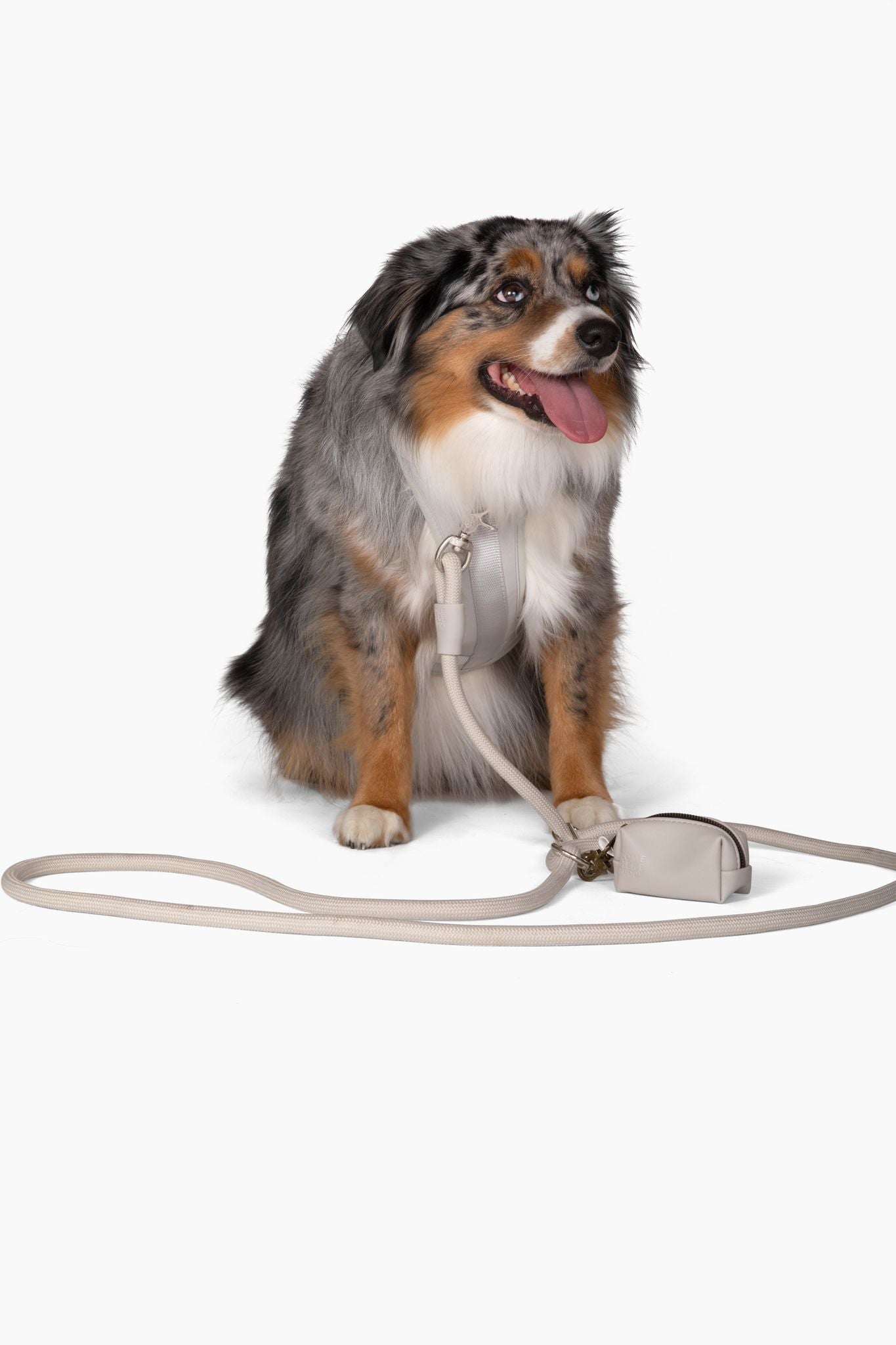 Harness - Pet Collars & Harnesses - Come Here Buddy
